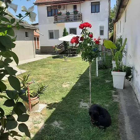 Apartman Kuca Amazonija