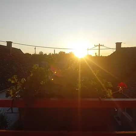 Kuca Amazonija Apatin