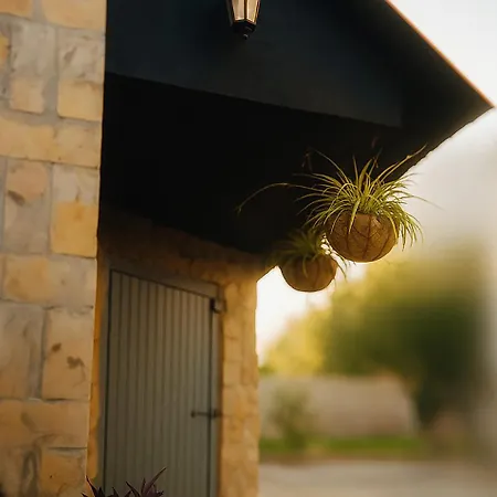 Kuca Amazonija Апатин