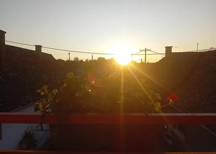 Kuca Amazonija 阿帕丁