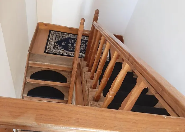 Kuca Amazonija * 阿帕丁