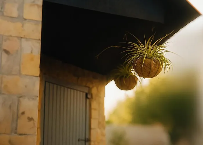 Kuca Amazonija 阿帕丁